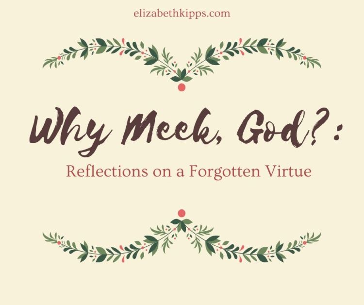 Why Meek, God__